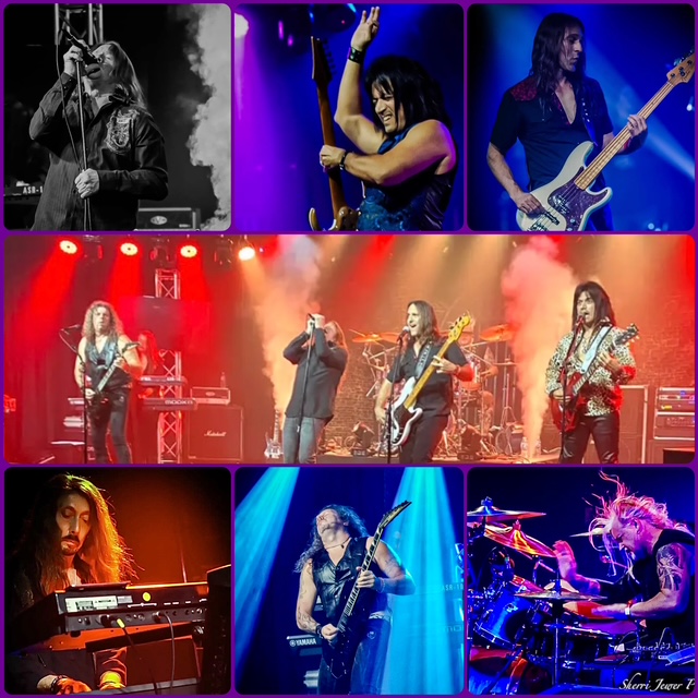 Knightsnake collag